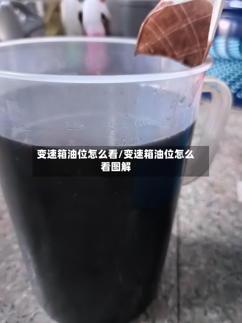 变速箱油位怎么看/变速箱油位怎么看图解