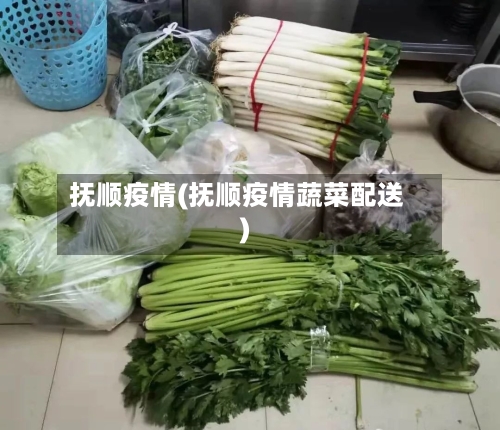 抚顺疫情(抚顺疫情蔬菜配送)-第2张图片