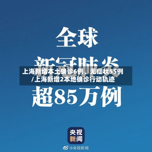 上海新增本土确诊6例	、无症状55例/上海新增2本地确诊行动轨迹-第3张图片