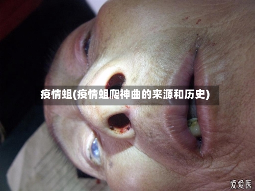 疫情蛆(疫情蛆爬神曲的来源和历史)