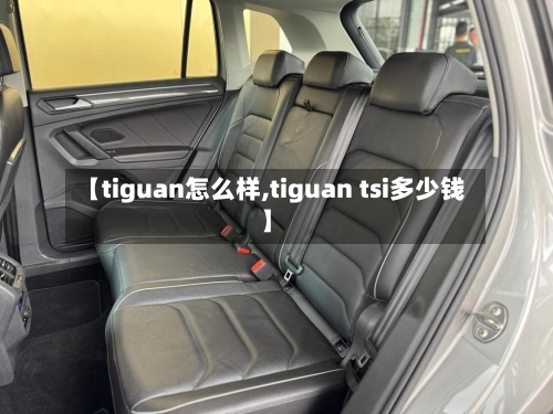 【tiguan怎么样,tiguan tsi多少钱】-第2张图片