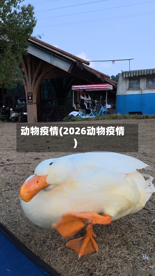 动物疫情(2026动物疫情)-第2张图片
