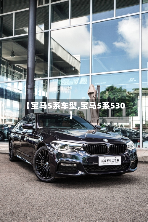 【宝马5系车型,宝马5系530】-第2张图片