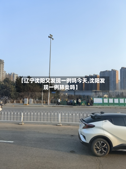 【辽宁沈阳又发现一例吗今天,沈阳发现一例肺炎吗】-第2张图片