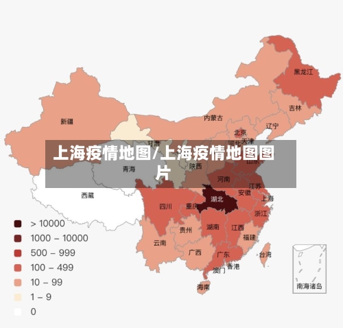 上海疫情地图/上海疫情地图图片