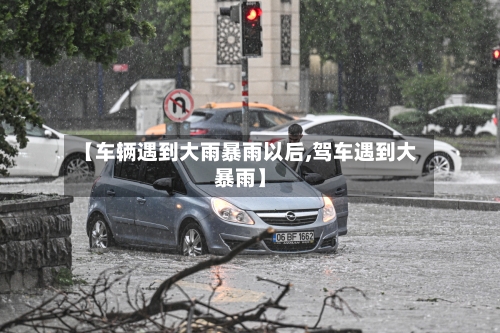 【车辆遇到大雨暴雨以后,驾车遇到大暴雨】-第2张图片