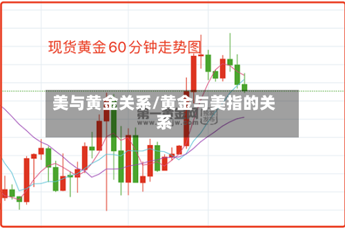 美与黄金关系/黄金与美指的关系