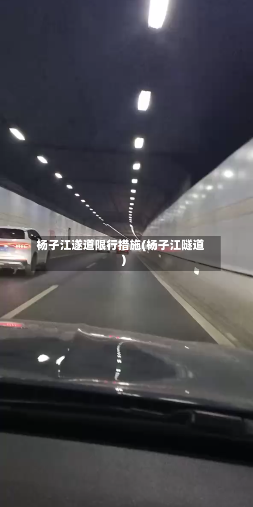 杨子江遂道限行措施(杨子江隧道)-第2张图片