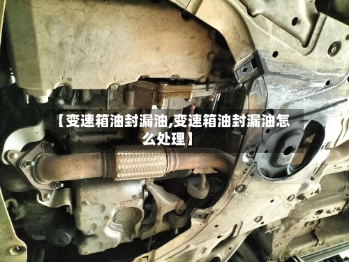 【变速箱油封漏油,变速箱油封漏油怎么处理】