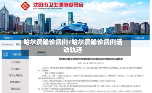 哈尔滨确诊病例/哈尔滨确诊病例活动轨迹-第2张图片