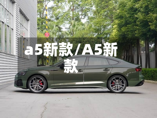 a5新款/A5新款-第2张图片