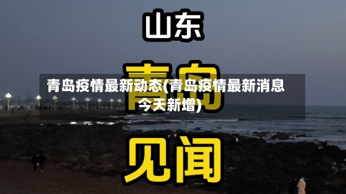 青岛疫情最新动态(青岛疫情最新消息今天新增)-第2张图片
