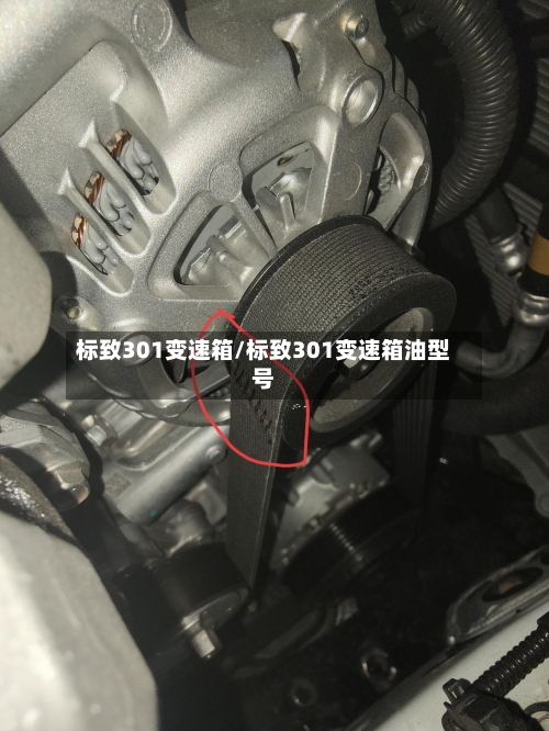 标致301变速箱/标致301变速箱油型号