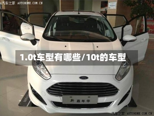 1.0t车型有哪些/10t的车型-第2张图片