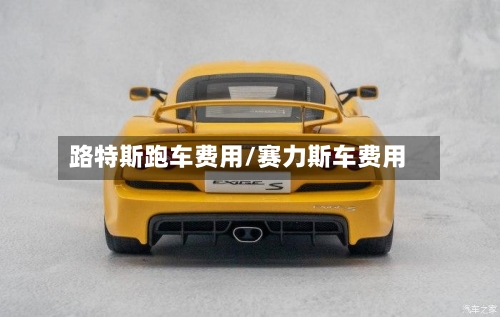 路特斯跑车费用/赛力斯车费用-第3张图片