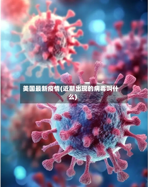 美国最新疫情(近期出现的病毒叫什么)-第2张图片