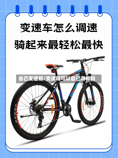 自己变速箱/变速箱可以自己调教吗