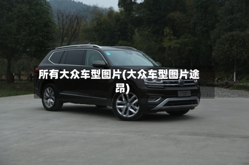 所有大众车型图片(大众车型图片途昂)