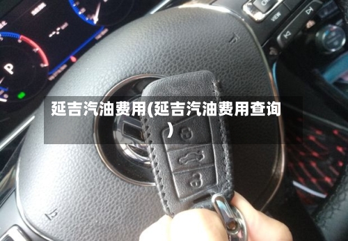 延吉汽油费用(延吉汽油费用查询)-第2张图片