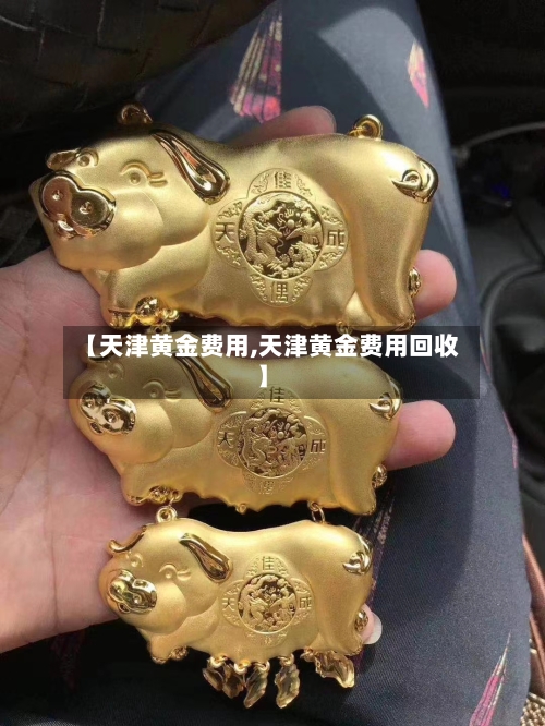 【天津黄金费用,天津黄金费用回收】