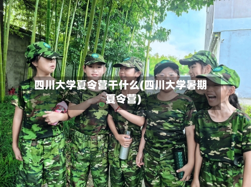 四川大学夏令营干什么(四川大学暑期夏令营)