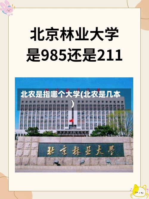 北农是指哪个大学(北农是几本)