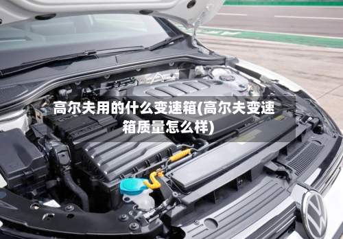 高尔夫用的什么变速箱(高尔夫变速箱质量怎么样)-第2张图片