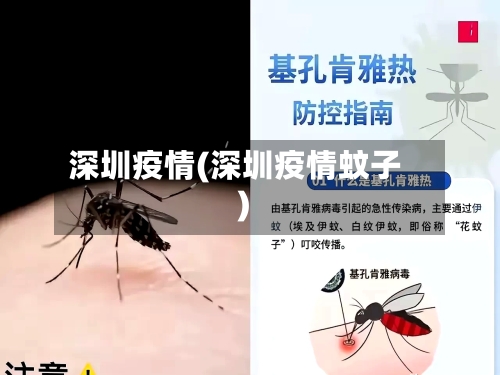 深圳疫情(深圳疫情蚊子)