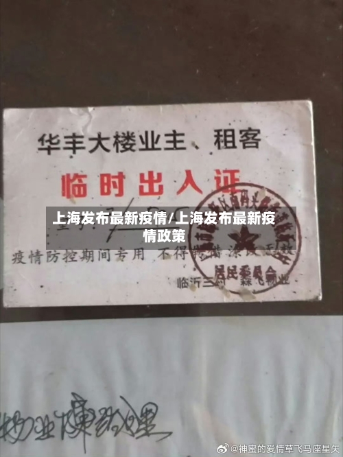 上海发布最新疫情/上海发布最新疫情政策-第2张图片