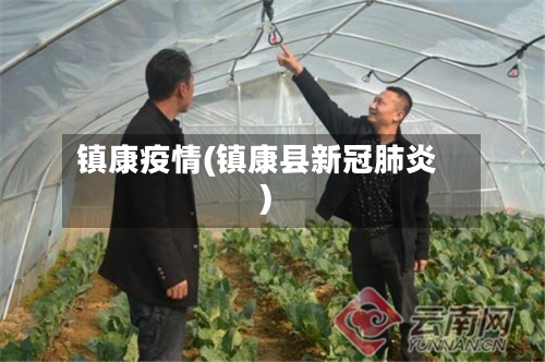 镇康疫情(镇康县新冠肺炎)