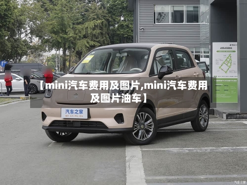 【mini汽车费用及图片,mini汽车费用及图片油车】-第2张图片