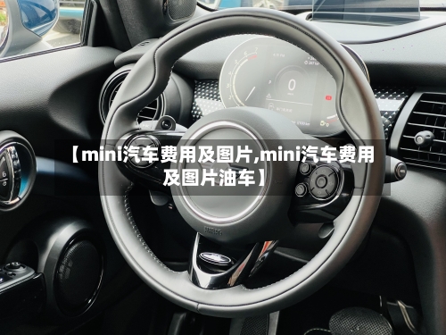 【mini汽车费用及图片,mini汽车费用及图片油车】