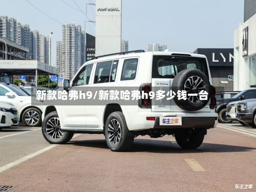 新款哈弗h9/新款哈弗h9多少钱一台-第3张图片