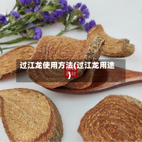 过江龙使用方法(过江龙用途)