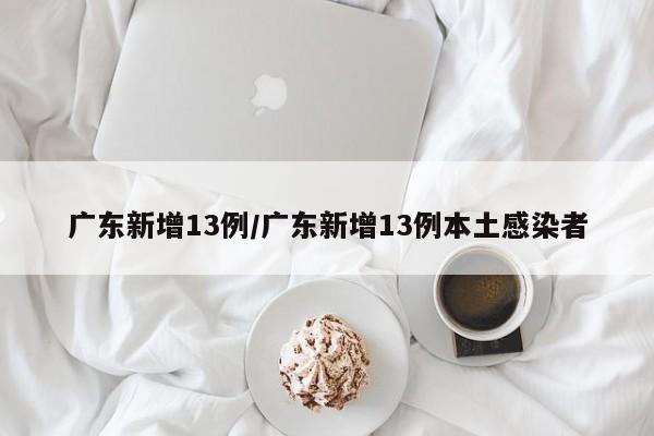 广东新增13例/广东新增13例本土感染者